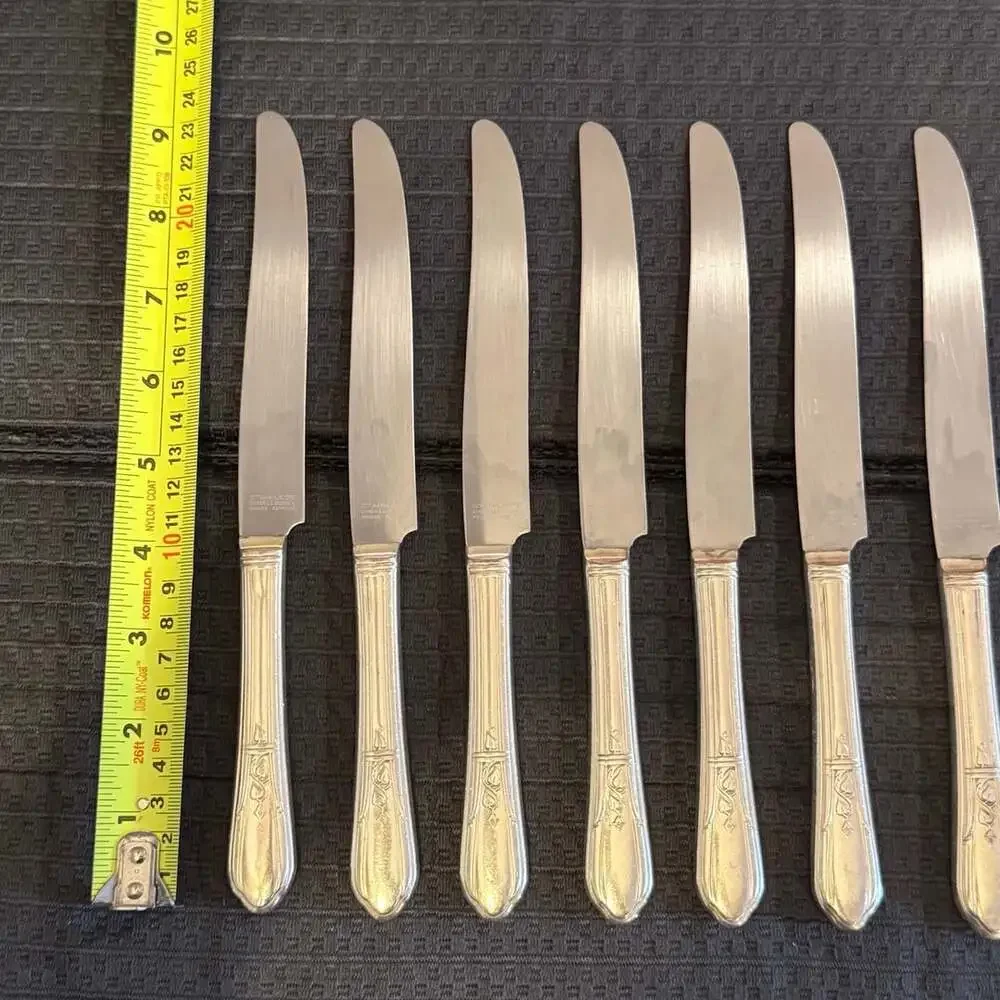 Simeon L & George H Rogers Company set stainless